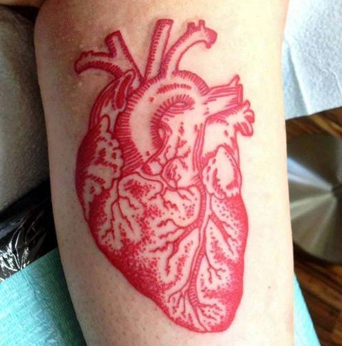 Heart Tattoo Organ Significato Tatuaggi Blendup