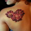 Tatuagem de Flor de Lotus no ombro