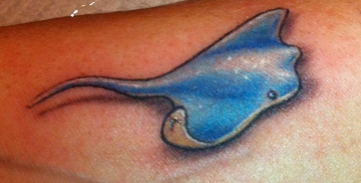 ocean life stingray temporary tattoo | Zazzle