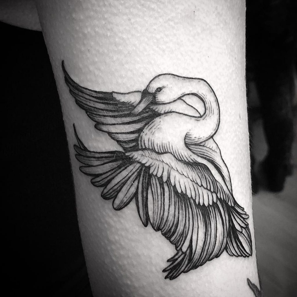 Healed ornate cherub and fresh swan cover up 𓅼  Instagram