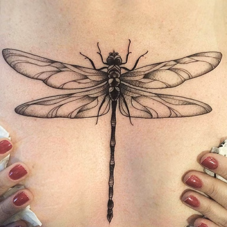 Significado de Tatuagens de Libélulas