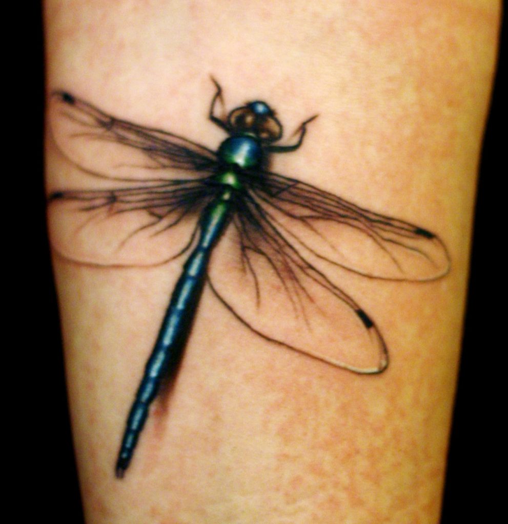 Immortal Tattoos  heres a beautiful coloured Dragonfly we did a while  back hope you all appreciaite it   Facebook