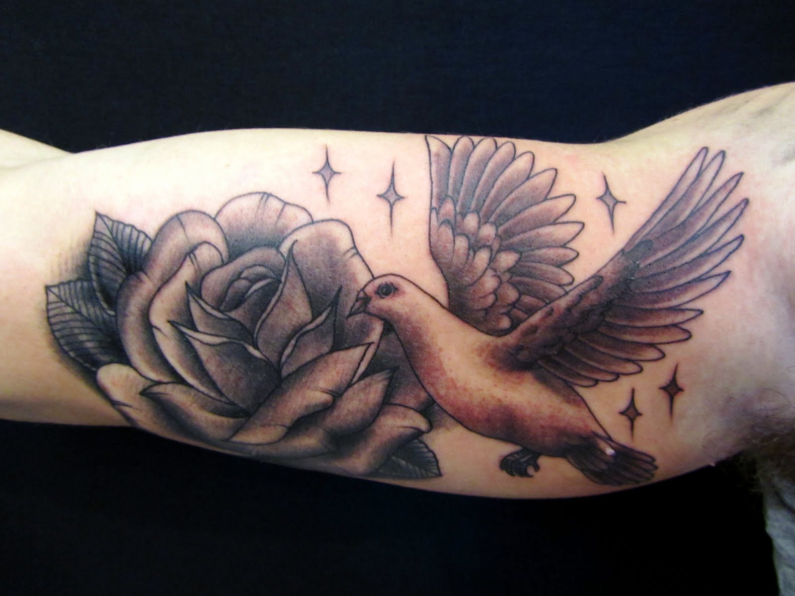 Meaning of Dove Tattoos | BlendUp