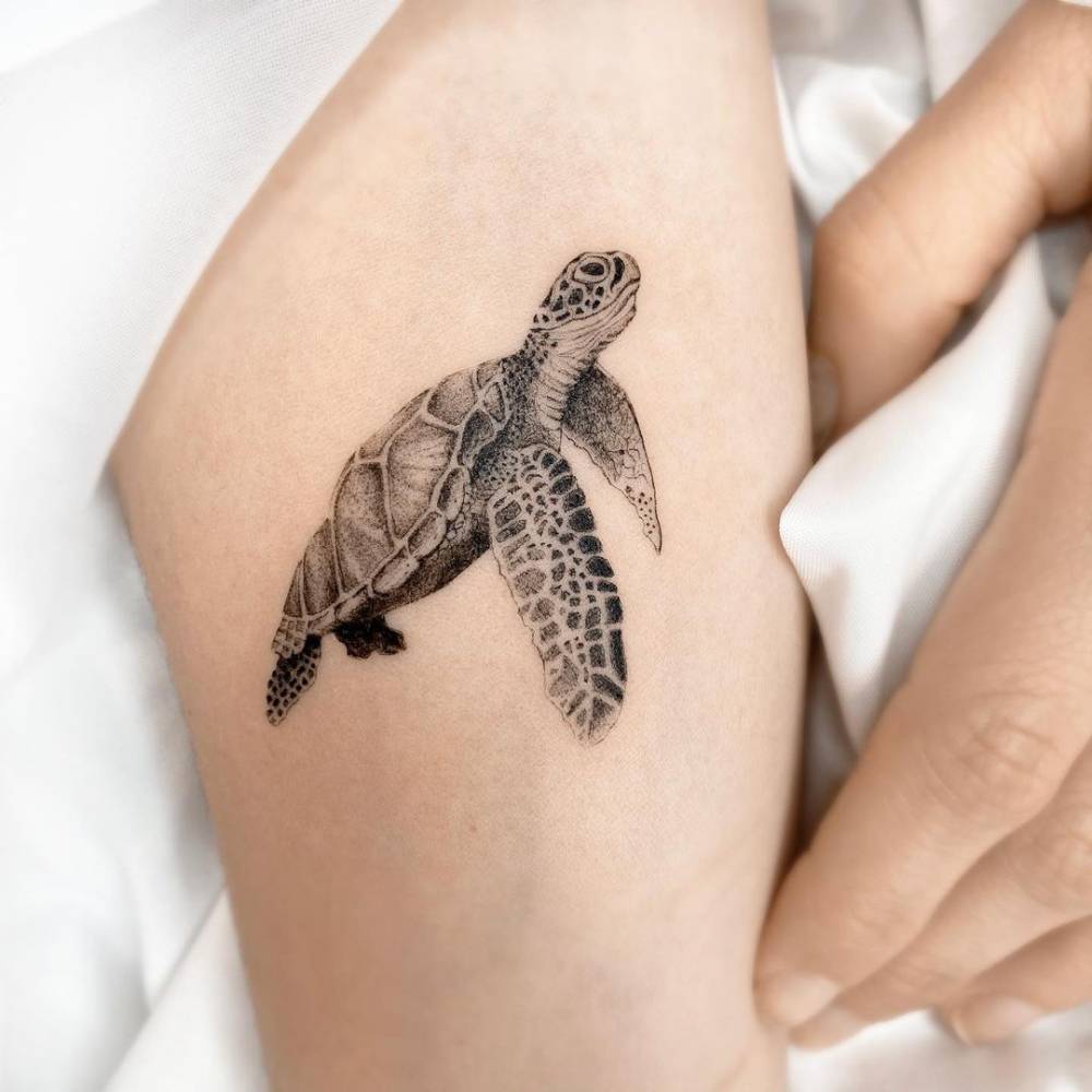 Meaning of Turtle Tattoo
