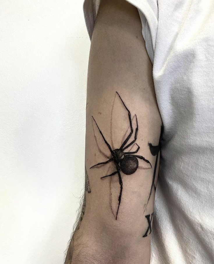 CapCut_tattoo de aranha significado