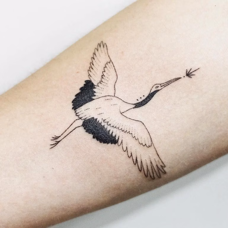 Significado de Tatuagens de Cegonha