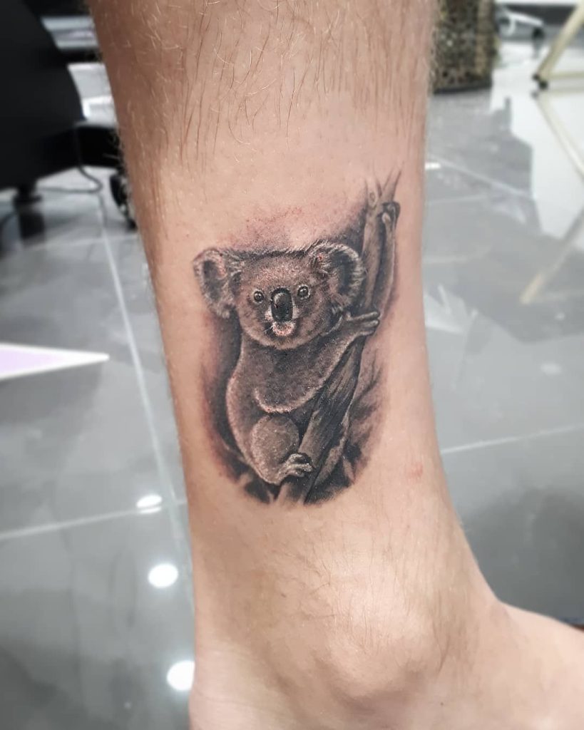 Amazoncom Azeeda Large Koala On Branch Temporary Tattoo TO00035946   Everything Else