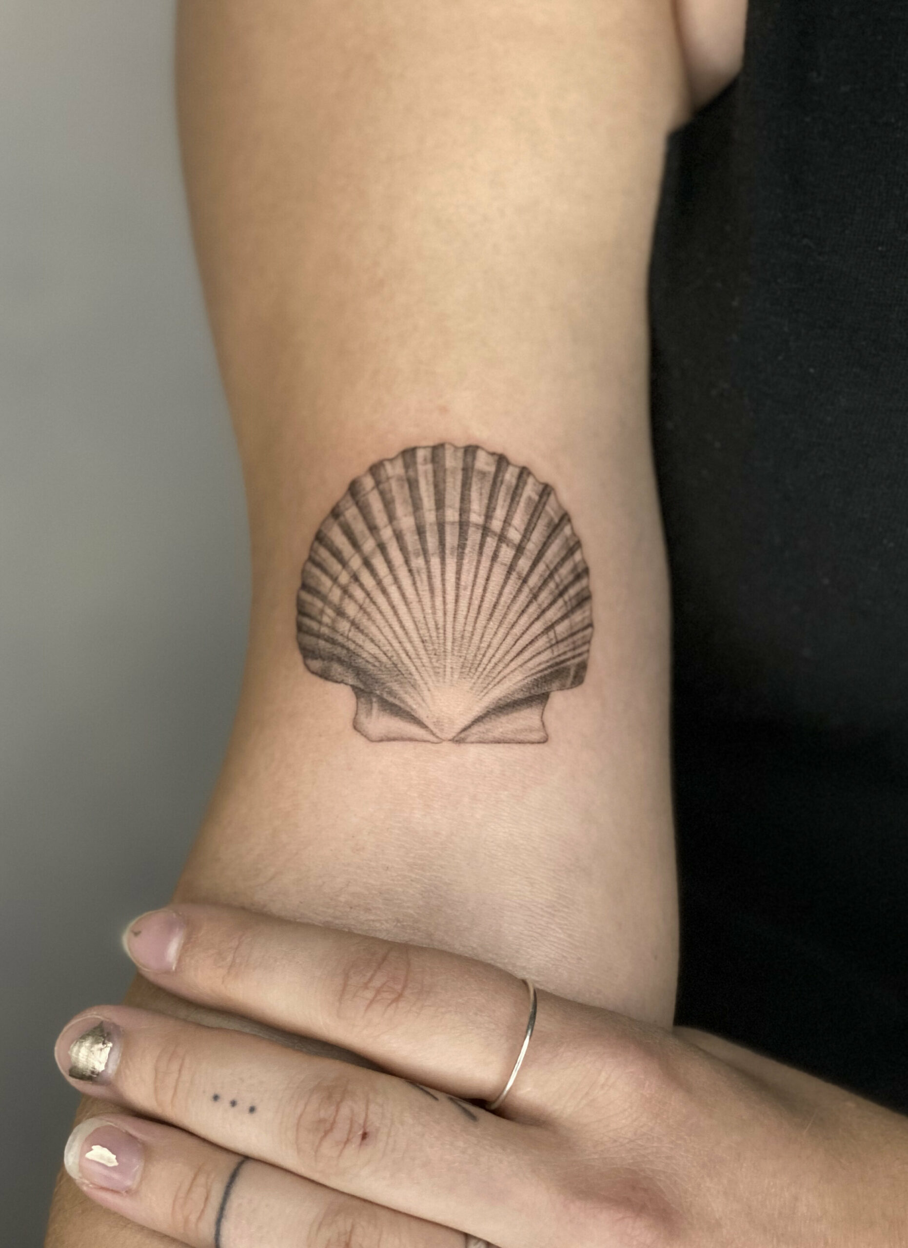 Shell tattoo meaning