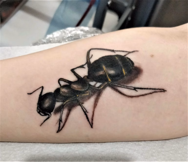 Significado de tatuagens de Formiga