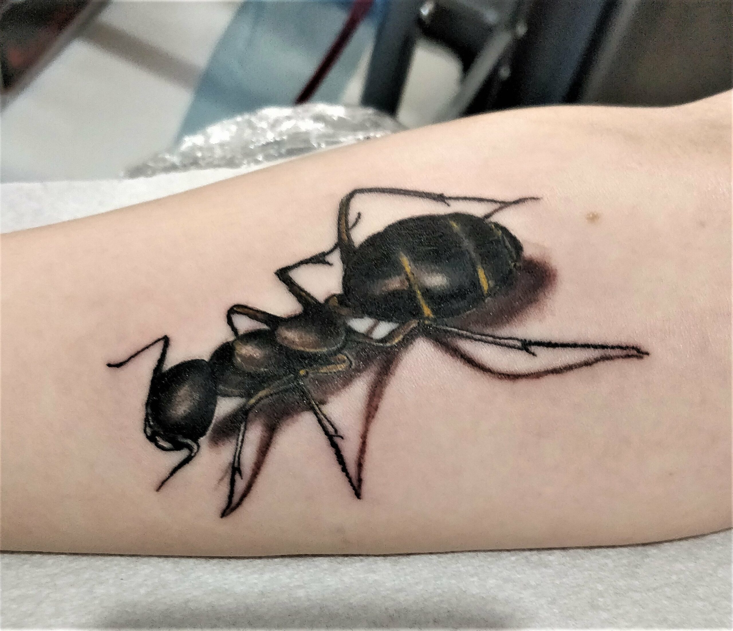 50 Ant Tattoos For Men  YouTube