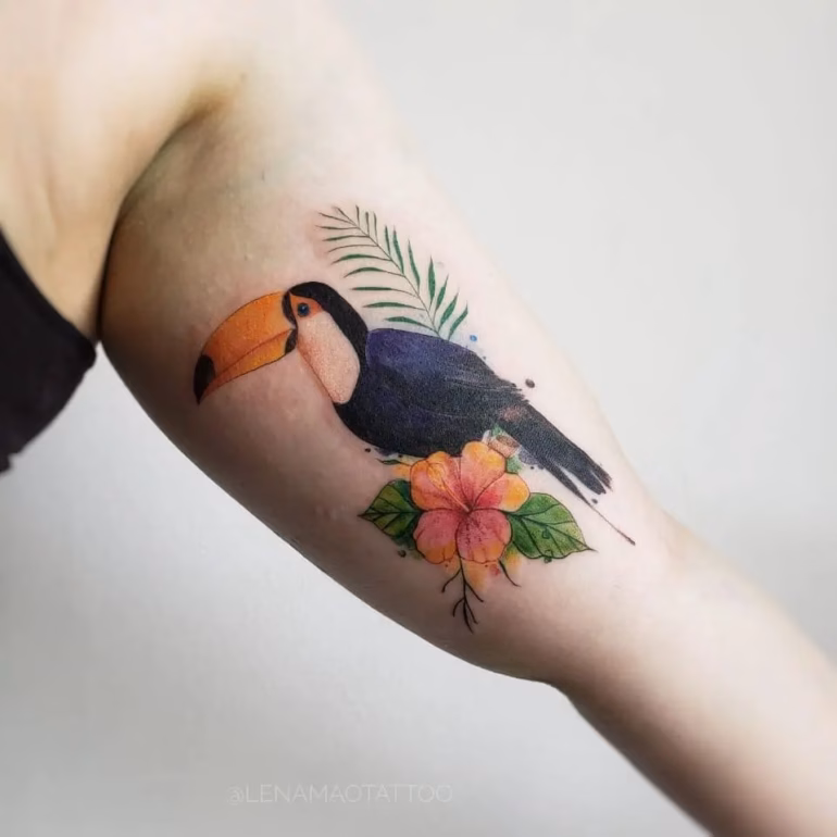 Significado de Tatuagens de Tucano