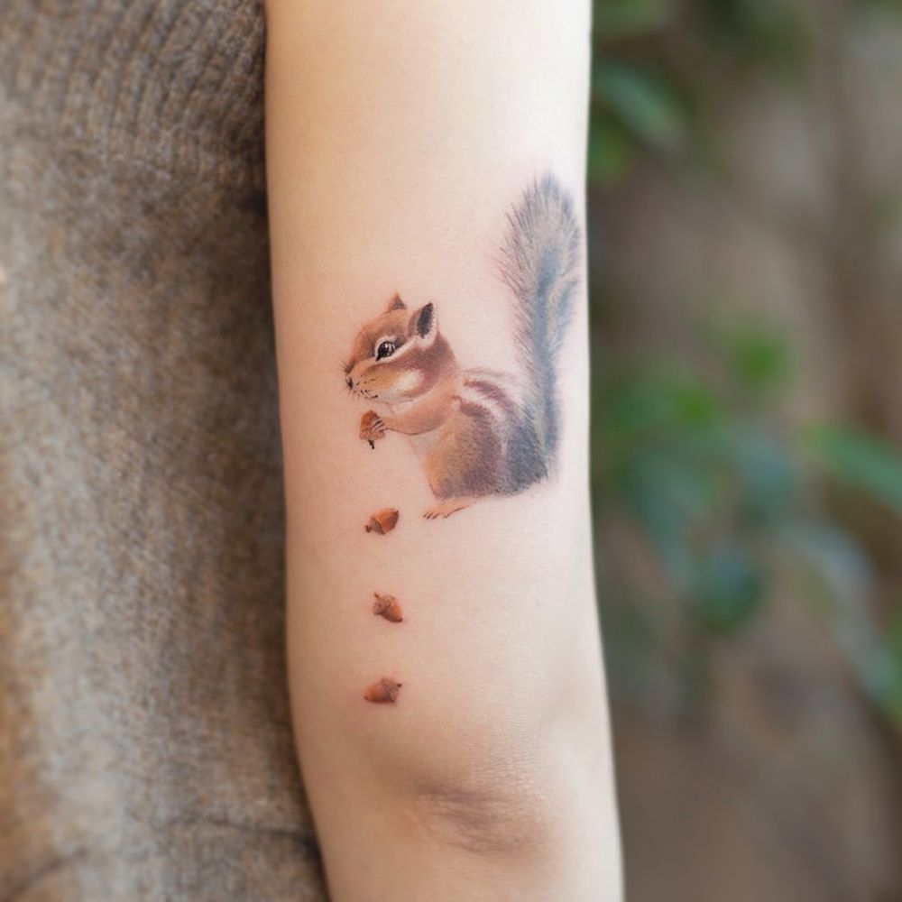 Tattoo Ness on Twitter tattoo art Squirrel squirrel tattooideas  realistictattoo tattooartist tattoo inked ink tattooart tattoos  tattoodesign httpstcoPqucKXF45j  Twitter