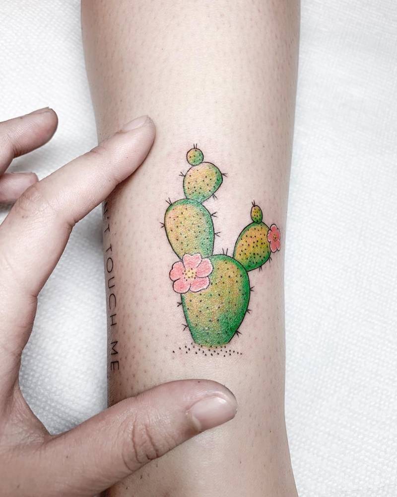 12 Cactus Tattoos ideas  cactus tattoo tattoos for women tattoos