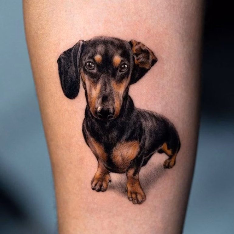 Significado de Tatuagens de Cachorro